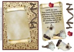 Cats 2