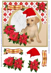Santas helper