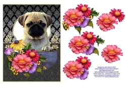 Pug in vase