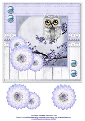 Snowy Owl