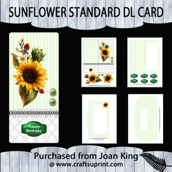 Sunflower  standard DL card