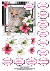 Chihuahua in the Amaryllis Bloom at Christmas