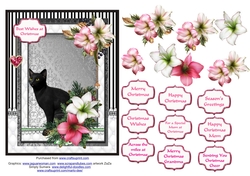 Black cat in the Christmas flowers