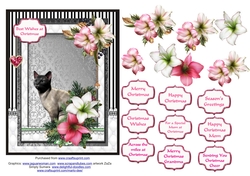 Blue Siamese cat in the Christmas flowers