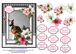 Calico cat in the Christmas flowers