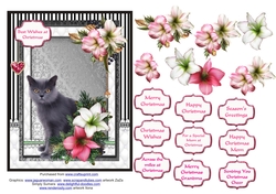Fluffy grey cat in the Christmas flowers