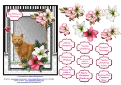 Ginger cat in the Christmas flowers
