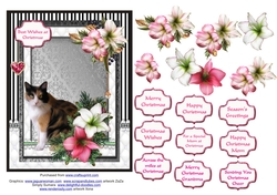 Tortoiseshell cat in the Christmas flowers
