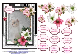 White Fluffy cat in the Christmas flowers
