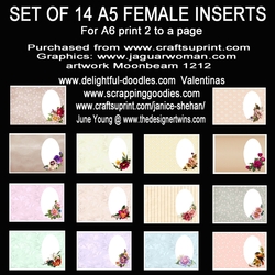 Set of 14 A5 female inserts plain for your own words. 