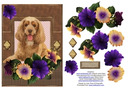 Cocker Spaniel