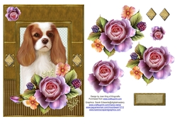 King Charles Cavalier