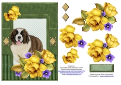 St Bernard