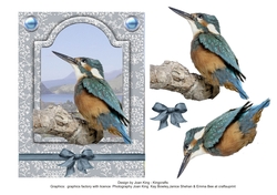 Kingfisher