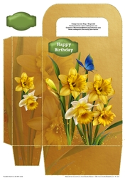 Dancing in the daffodils gift bag