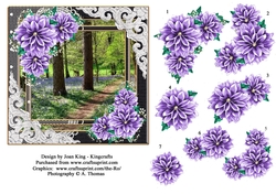Bluebell Woods