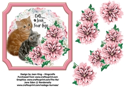 Cats are love on four legs 2