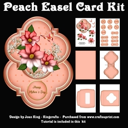 Peach Easel Card Kit