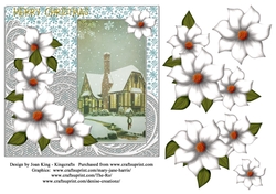 The Old Christmas House