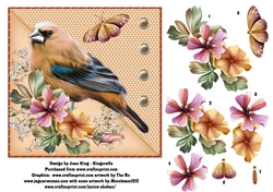 Bird 2