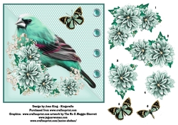 Bird 4