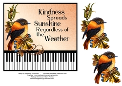 Kindness spreads sunshine