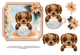 Cute puppy in peach
