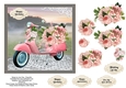 Blush of Pink Roses