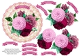 Pink & Magenta Roses
