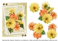 Yellow & Peach dahlias