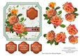 Orange roses for a special occasion