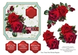 Red roses for a special occasion