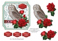 Owl and Roses