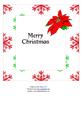Poinsettia insert