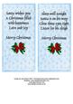 Santa and His Sack Standard Dl Insert