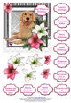 Golden Retriever in the Amaryllis Bloom at Christmas