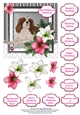 King Charles Spaniel in the Amaryllis Bloom at Christmas