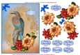 Indian Roller/Blue Jay