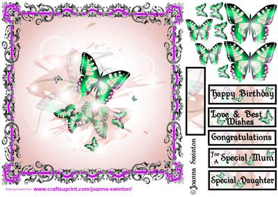 Beautiful Butterflies