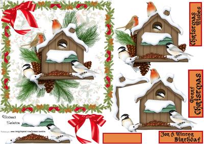 Christmas/birthday Birds
