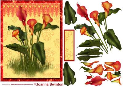 Calla Lilies