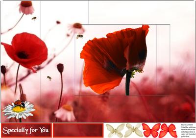 Pop Out Poppy Field
