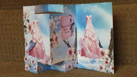 3 Panel Girls Accessories Card