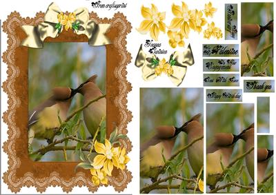 Lacy Frame Kissing Birds