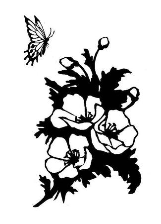 Poppies And Butterfly