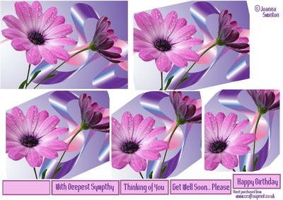 Peaceful Purple Flower