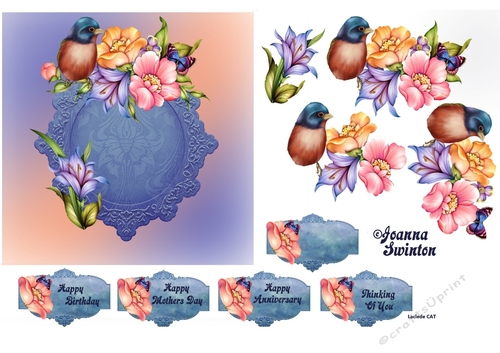 Blue Bird Flowers