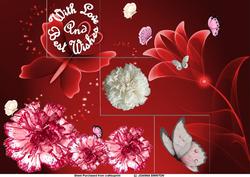 Carnations and Butterflies