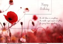Red Birthday Poppies