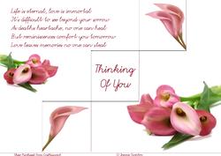 Sympathy Lilies